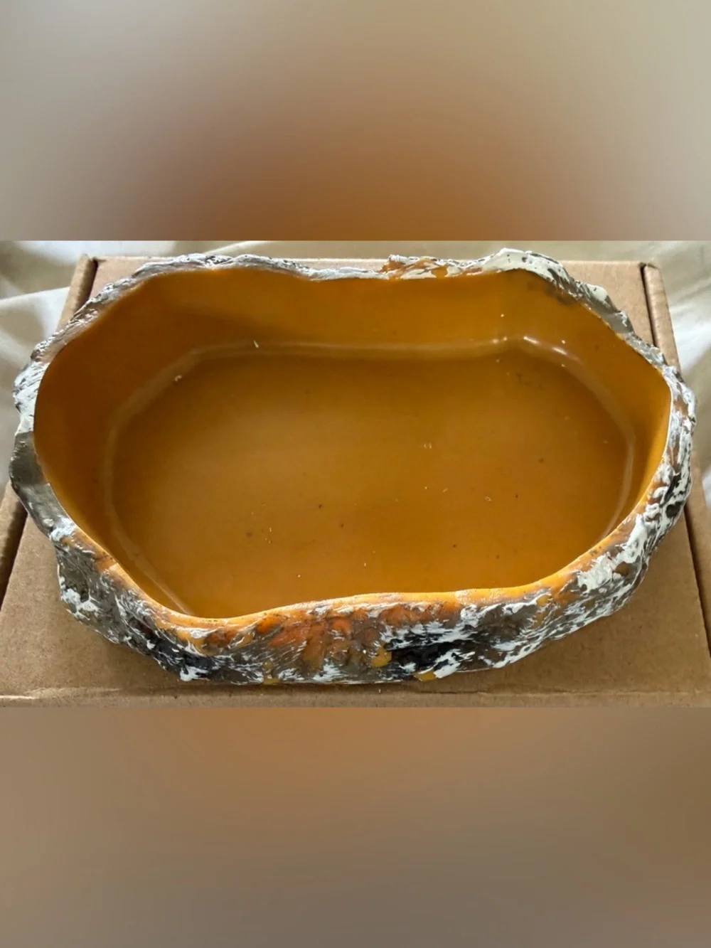 NIOB 5” Reptile Water/Feeding Dish. (Opened plastic just to snap pic)